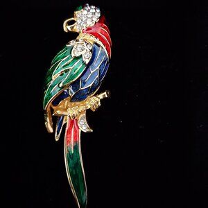 Women Brooch Pin Atwood & Sawyer Parrot Rhinestones